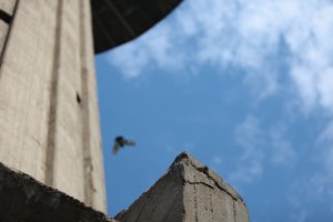 img_2363